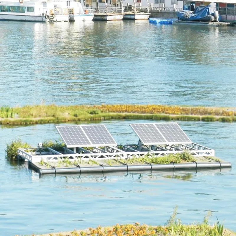 Projekt zagospodarowania rzeki